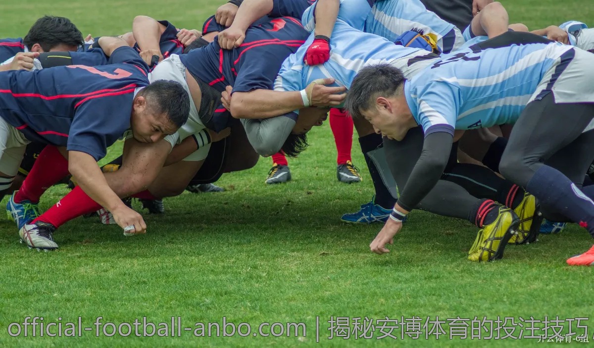 揭秘安博体育的投注技巧，提升胜率